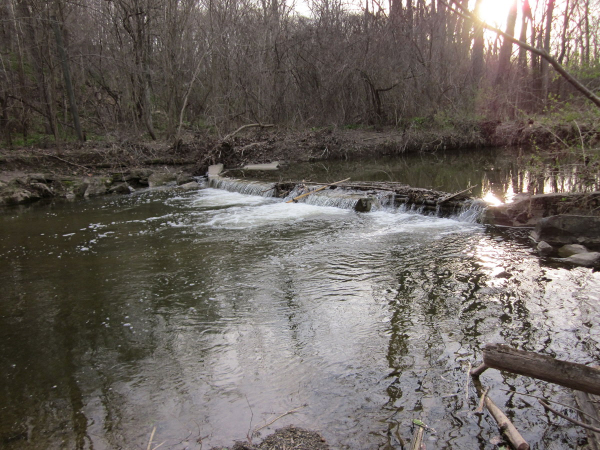 pic of Beaver Dam